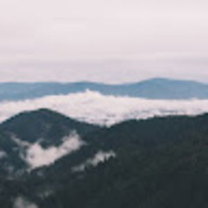 Meet your Posher, Veronika